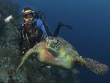 Pristine Seas: Exploring Underwater Edens with Enric Sala 