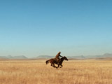 Photo: Lone horse rider in Texas 