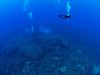 pitcairn-underwater-diver.jpg
