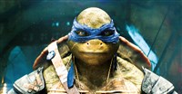  Leonardo in "Teenage Mutant Ninja Turtles."   