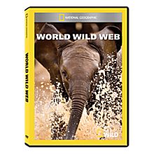 World Wild Web DVD-R, 2012