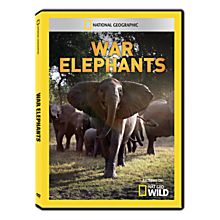 War Elephants DVD-R, 2012