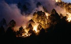 Deadly fires have swept through forest land in EU countries such as Portugal and Spain.