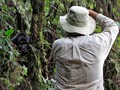 Photographing Gorillas in Uganda