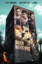 Image of Brick Mansions
