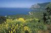 Crimean Peninsula [age fotostock/SuperStock] 