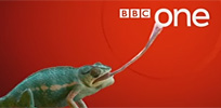 CGI chameleon with BBC One logo