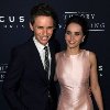Felicity Jones and Eddie Redmayne at event of The Theory of Everything
