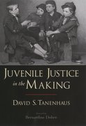 Cover for Juvenile Justice in the Making