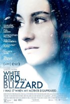 Image of White Bird in a Blizzard