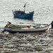 Indian fishermen pushed their boat through plastic waste last month in Mumbai.