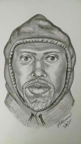 composite sketch: This image released Wednesday, March 4, 2015, by the Wilson County, N.C. Sheriff's Office, shows a composite sketch by investigators of one of the suspects in a heist of millions of dollars in gold bars from a truck on a North Carolina interstate highway on Sunday, March 1. Authorities have said that three armed robbers drove up while the truck was having mechanical problems and stole 275 pounds of gold bars worth $4.8 million.