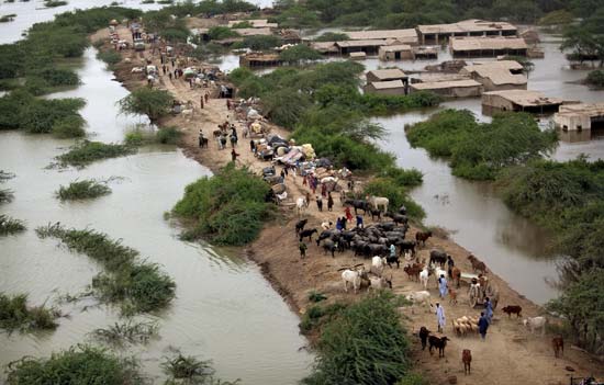 flood: Pakistanis taking shelter after the Indus River flood, August 2010