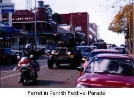 Ferret in Penrith Festival Parade