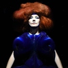 An image from Björk, a show presented by The Museum of Modern Art in New York.