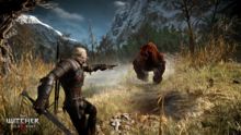 Everything You Need to Know About The Witcher 3: Wild Hunt