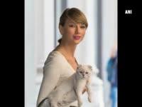 Taylor Swift is a Cat-Lady, according to her Close Friends
