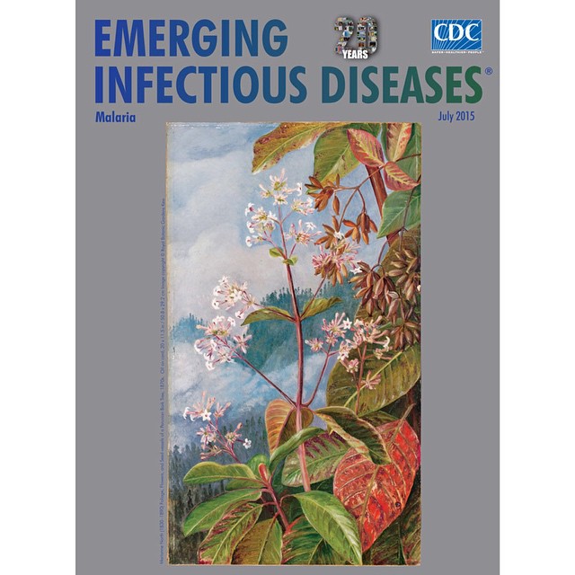 July’s Emerging Infectious Diseases journal theme is Malaria. The cover image features Foliage, Flowers, and Seed-vessels of a Peruvian Bark Tree by English botanical artist Marianne North. “Marianne North is celebrated for her meticulous attention to detail, form, and color. Her collection of 833 paintings, which portray more than 900 species of plants, comprises her life’s work…North’s graceful painting captures many key facets of her specimen. In the center, a small branch is clustered with white flowers… The Peruvian bark tree…is a cinchona of the family Rubiaceae, native to the western forests of the South American Andes. Its bark produces several alkaloids, including quinine, which has potent antimalarial properties…The World Health Organization (WHO) documents that 198 million cases of malaria occurred globally in 2013…WHO further reported that in 2014, malaria transmission was ongoing in 97 countries…recent increases in resources, political will, and commitment have led to great improvements in malaria control in many parts of the malaria-endemic world,” said Byron Breedlove and Paul Arguin in Emerging Infectious Diseases http://go.usa.gov/3vKsR