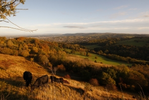 Sixty-nine per cent of the 60 million acres in the UK is owned by 0.6 per cent of the population. Photo: Dan Istitene/Getty Images
