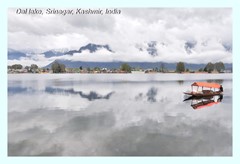 Dal lake, Srinagar, Kashmir, India