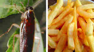 Sure, seeing a cockroach on your fries would turn you off eating them. But what about seeing a photo of a cockroach flash by before you see a photo of fries?