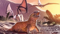   An -million-year-old lizard discovered in southern Brazil has provided a surprising clue about how these reptiles evolved, and where they once lived, according to a new study