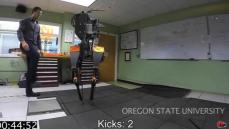 Robot stays on its feet despite punishment