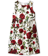 Dolce & Gabbana - Ceremony Rose Print Sleeveless Dress (Big Kids)