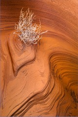 erosion layers in antelope canyon, arizona