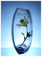 a glass vase