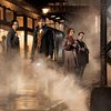 Still of Dan Fogler, Alison Sudol, Eddie Redmayne and Katherine Waterston in Fantastic Beasts and Where to Find Them (2016)