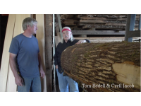 Bedell Guitars: Sourcing Salvage Maple with Tom Bedell &amp; Cyril Jacob