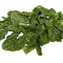 Amaranth leaves is an ingredient used in Indian cooking