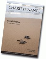 Charity Audit Survey 2012