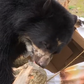 Bears get box of treats before moving day