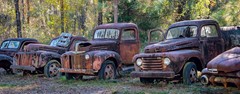 Rusted Trucks