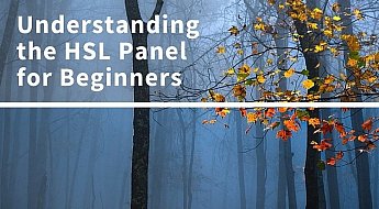 Understanding the HSLPanel for Beginners