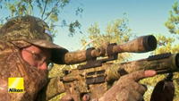 Nikon under fire over rifle scopes designed for 'dangerous game' hunting