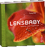 Lensbaby calls for image submissions