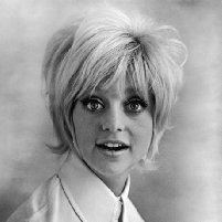 Still of Goldie Hawn in Die Kaktusblüte (1969)