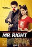 Mr. Right (2015) Poster