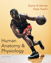 Human Anatomy & Physiology: Edition 10