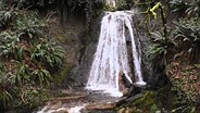 Nikon D5500 waterfall sample video