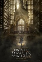 Image of Fantastic Beasts and Where to Find Them