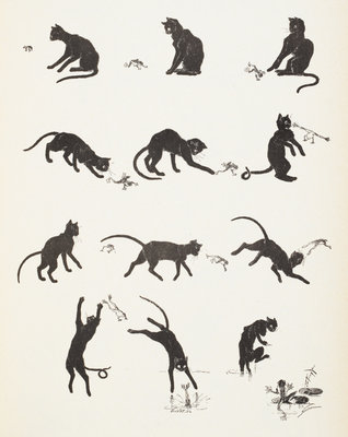 Cat playing with a frog by Theophile-Alexandre Steinlein - print