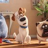 Louis C.K., Lake Bell, and Bobby Moynihan in The Secret Life of Pets (2016)
