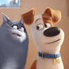 Louis C.K. and Lake Bell in The Secret Life of Pets (2016)