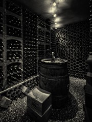 Wine Collection and Testing