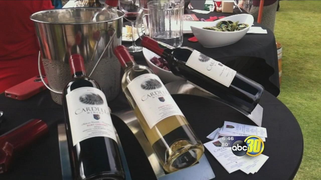 Wine, Women, and Shoes benefit helping wishes come true