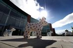 The great Snowdogs preview at the Quorum business park Newcastle